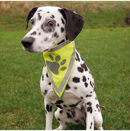 S�kerhetsscarf med reflex