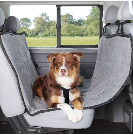 S�tesskydd f�r bilbaks�tet