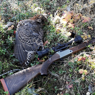 Tr�dsk�llarjakt � jaktens formel 1