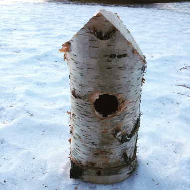 Slutspurt och nystart i naturen