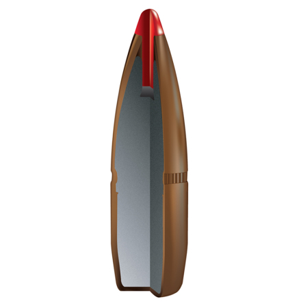 Hornady Kula .45 325gr FTX