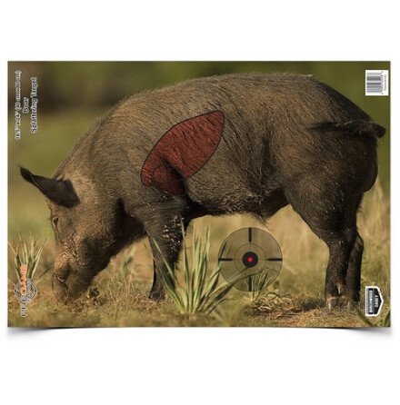 Birchwood Pregame Target BOAR 3pack