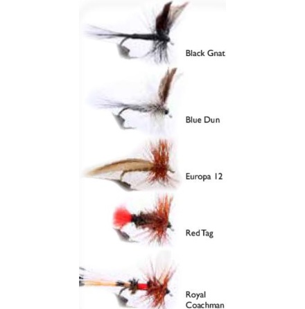 Wiggler Torrflugor 1 5p