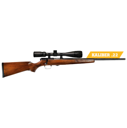 Vapenpaket Weihrauch HW 66P .22LR