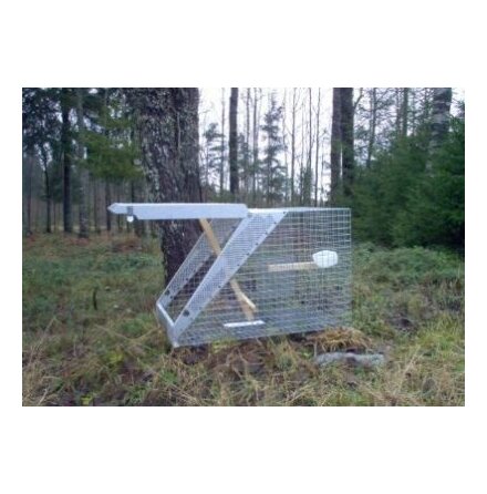 Lotin Kr�kf�lla enkel